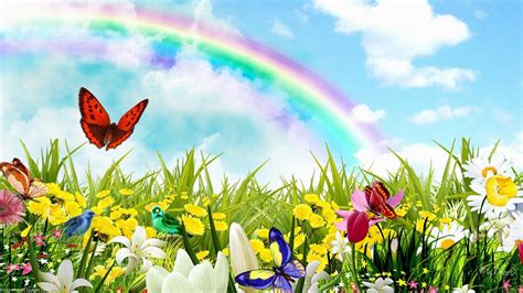 Rainbow Flower Wallpaper 58 Images