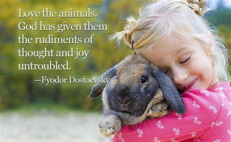 Inspirational Quotes For Animal Lovers Guideposts