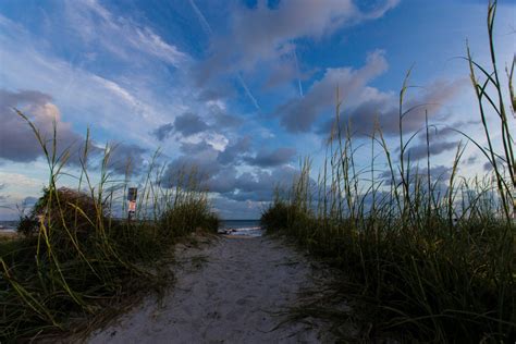 Free Images Landscape Sea Coast Tree Water Nature Ocean