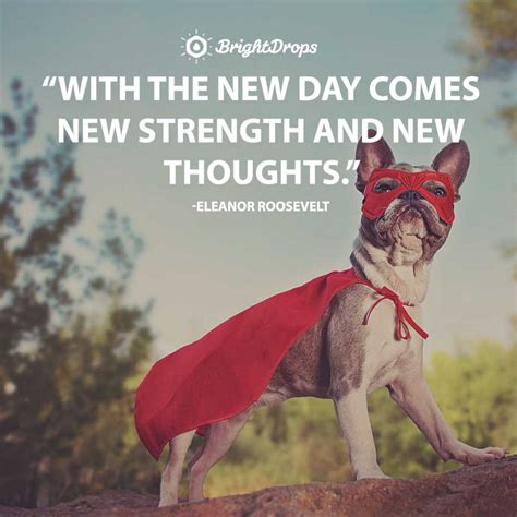 27 Funny Good Morning Quotes To Jumpstart Your Day Bright Drops