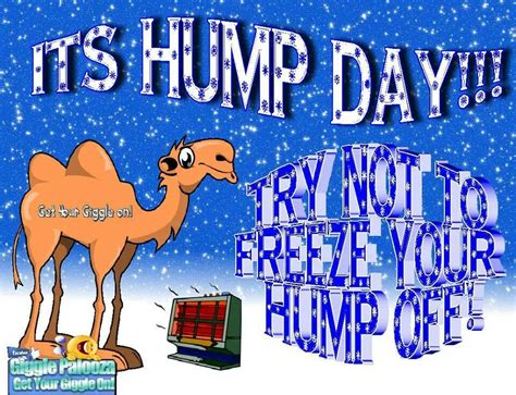 It S Hump Day Try Not To Freeze Your Hump Off Hump Day Quotes Funny Hump Day Humor