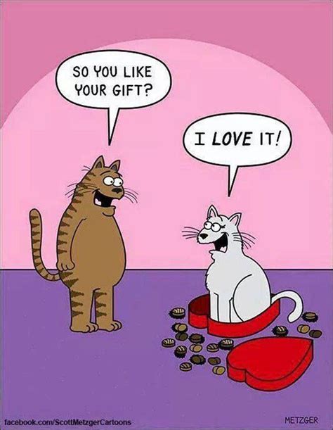 Weird Cat Actions Cat Jokes Cat Comics Funny Cartoons