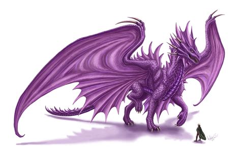 Amethyst Dragon By Xxatriusxx On Deviantart