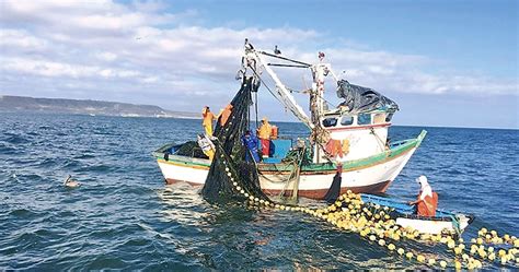 Industria Pesquera En El Perú Tipos De Barcos De Pesca