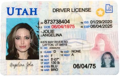 Fake Missouri Drivers License Pagroom