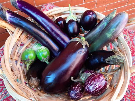 How To Cook Eggplant Excel At Taking On Flavor UCHealth Today