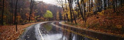Rainy Road In Autumn Euclid Creek Parkway Ohio Usa Photographic