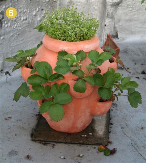 How to plant flowers in a strawberry pot. Strawberry Planters & Other Uses | Willard and May Outdoor ...