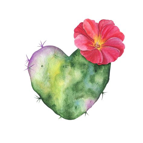 Cactus Watercolor Clipart Blossom Succulents Hand Painted Etsy