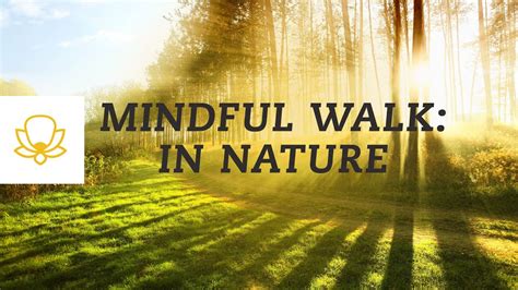 Walking Mindfulness Meditation For Hiking Or Walking In Nature Youtube