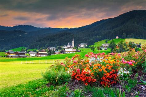 Spring Alpine Landscape With Colorful Flowers And Green Fields Austria