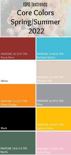 Refresh Your Brand With 20242025 Colour Trends — Buttercrumble