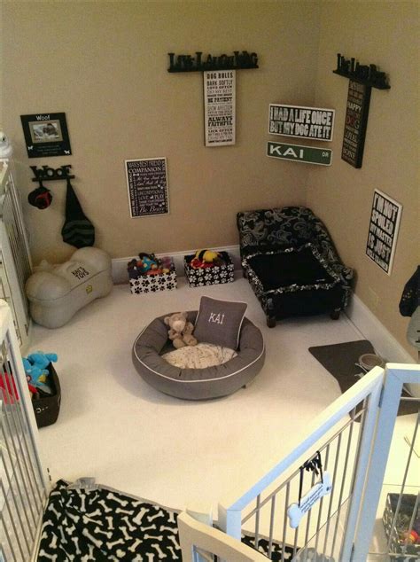 Chambre Chien Animal Room Dog Bedroom Puppy Bedroom Ideas Doggy Room