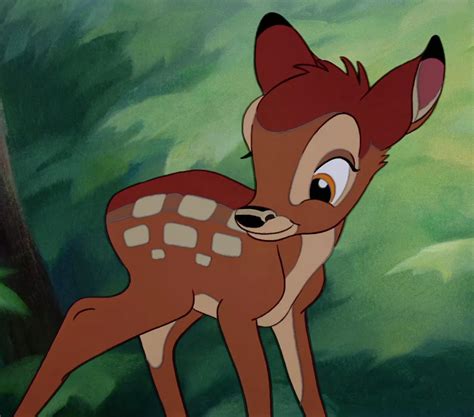 Bambi Ocanjp