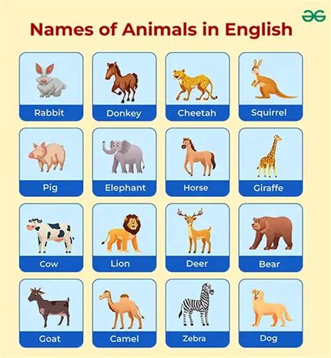 Animals Names I List Of All Wild Animals