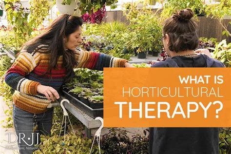 What Is Horticultural Therapy Dr Jj Naturopathic Doctor Downtown