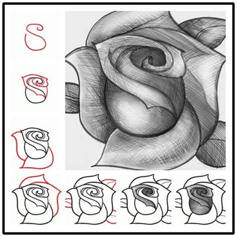 How to Draw a Rose Tutorial - Quick & Easy step by step ... You can edit any of drawings via our online image editor before downloading.
