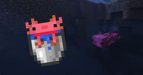 Colored Axolotls In Buckets Screenshots Minecraft Resource Packs