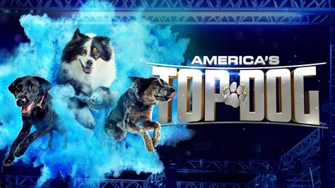 Americas Top Dog Aande Reality Series Where To Watch