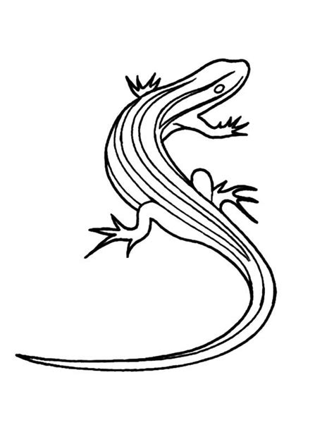 Picture Of Lizard Coloring Pages Download And Print Online Coloring