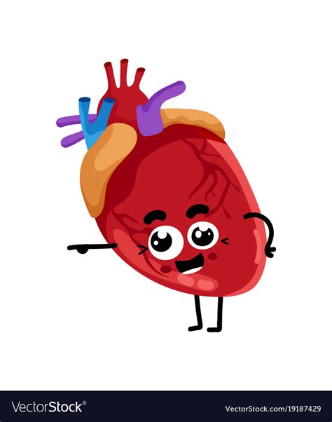 Human Heart Cute Cartoon Character Royalty Free Vector Image
