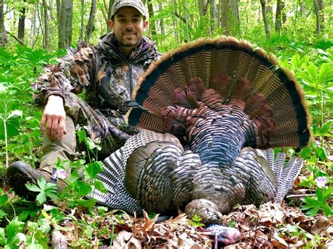 Where And How To Hunt Public Land Turkeys Field And Stream