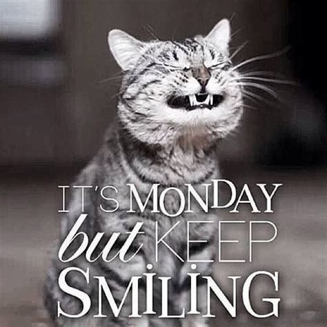 Happy Monday 😁 Morning Quotes Funny Good Morning Funny Happy