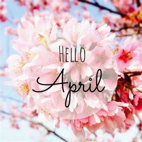 4 April Flowers Hello Hello April Month Pink Pretty