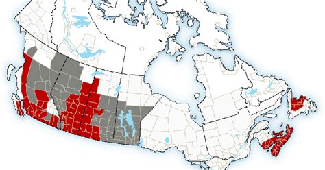 Vancouver's beaches and pools are great but can get a bit crowded in the summer months. Heat wave will continue through Thursday over south coast ...