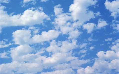 Cloud Full Hd Wallpaper And Background Image 1920x1200 Id384242