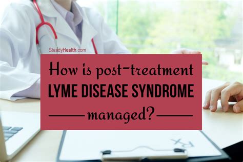 How Is Post Treatment Lyme Disease Syndrome Chronic Lyme Disease