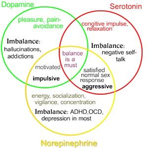 Hormones That Increase Happiness - myfmday.com