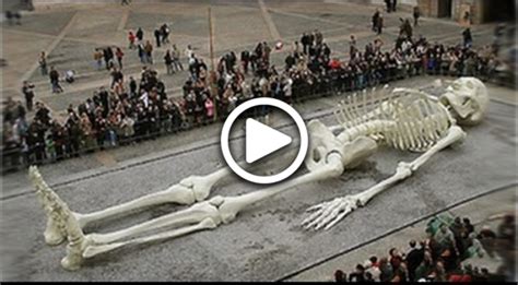 Biggest Human Skeleton Of World Is Found In Greece Video Dailymotion