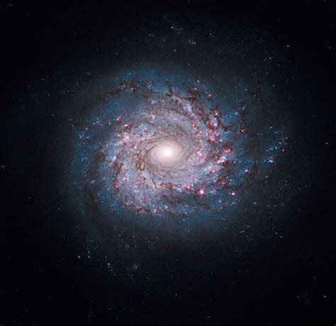 Annes Image Of The Day Spiral Galaxy Ngc 3982 Space Before Its News