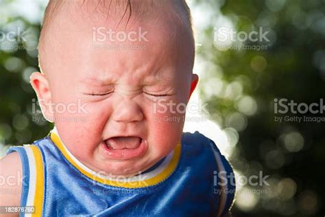 Crying Baby Boy Stock Photo Download Image Now Baby Human Age