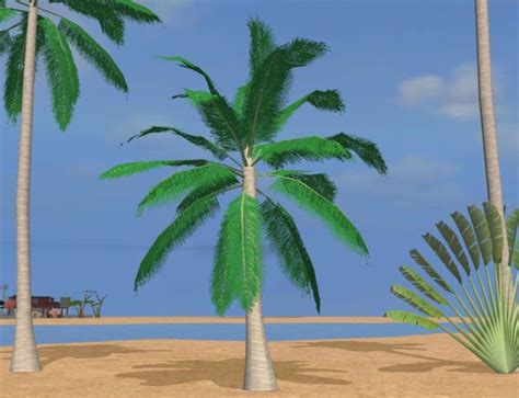 Maybe you would like to learn more about one of these? Mod The Sims - Super Realistic Palm : Coconut palm (NEW VERSION)