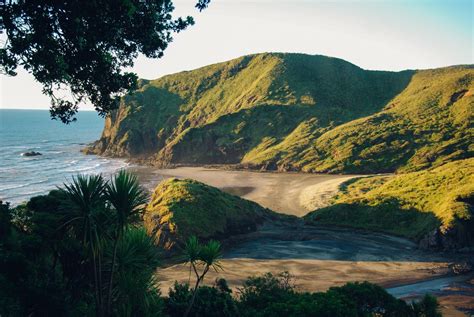 10 Best Beaches In New Zealand To Visit Auckland Travel Weather In