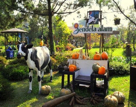 32 fun family things to do in Bandung you never knew existed