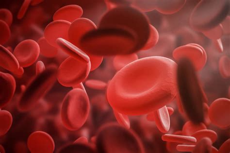 Inhibitor Development Is Rare After 75 Days Of Exposure To Factor Viii