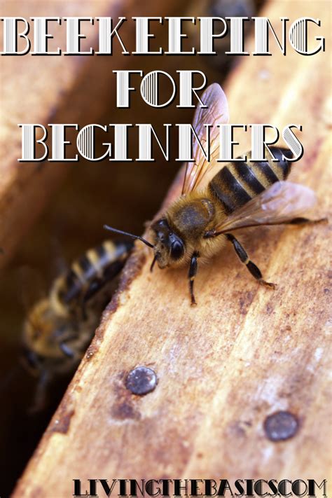 If your vegetables aren't growing to full size or producing as much as you think they i don't recommend spraying chemicals in your garden. small vegetable garden ideas and designs # ...