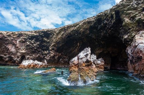 Ballestas Islands Tour Venturia Reservations