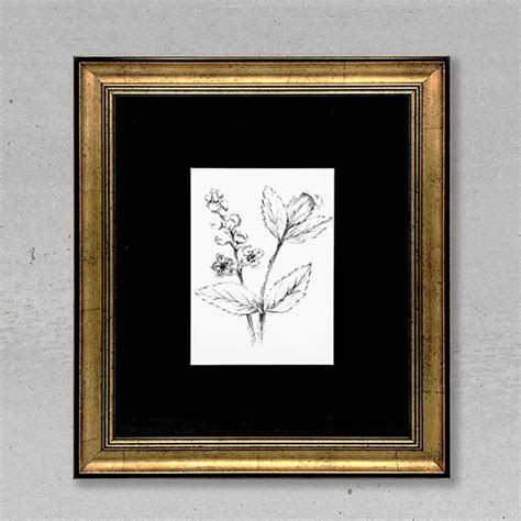 Botanical Print Gold And Black Frame Wall Art