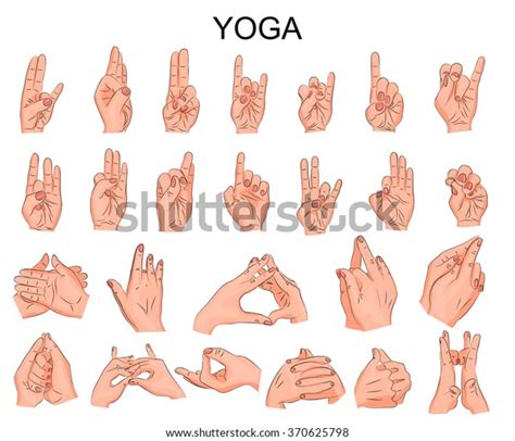 Illustration Of The Various Positions Of Your Hands In Yoga In Meditation The Wise