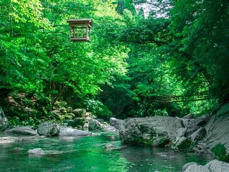 Iya Shikoku Travel Guide Japan Deluxe Tours