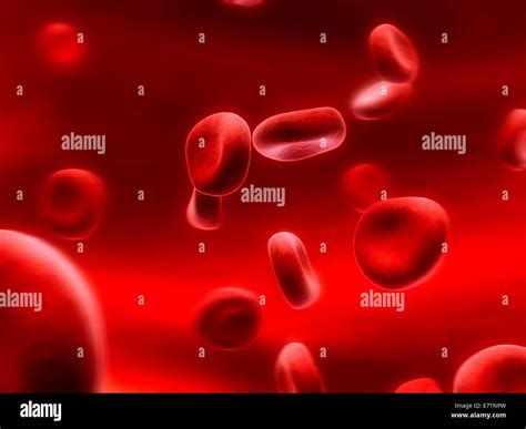 Human Red Blood Cells Computer Artwork Stock Photo Alamy