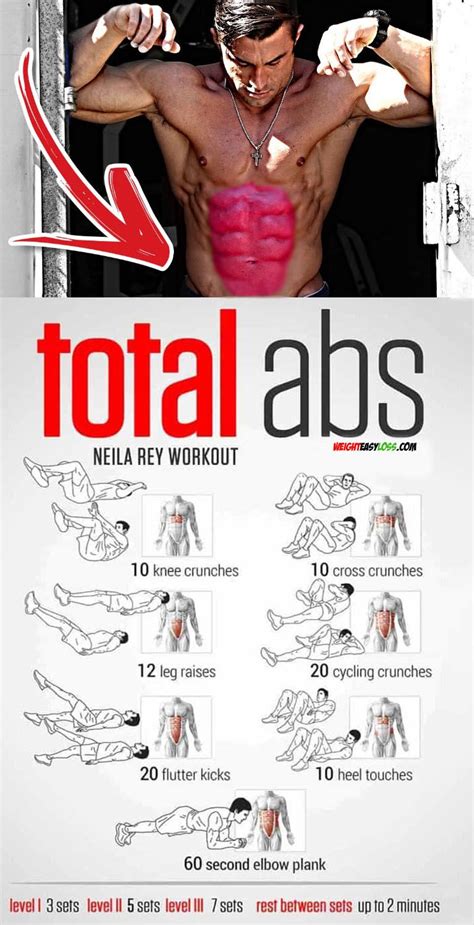 Training Of The Press Oblique Abdominal Muscles Abs Workout Routines Six Pack Abs Workout