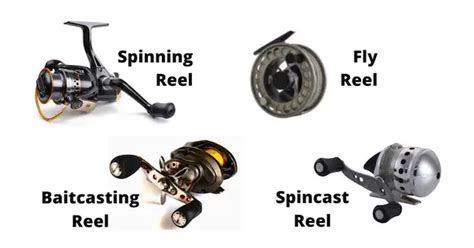 Types Of Fishing Reels How To Use Them
