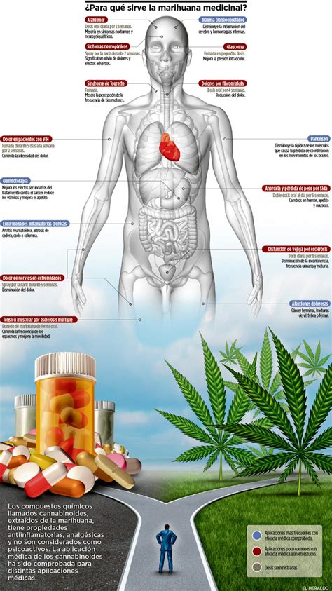 Las Diferencias Entre El Uso De La Marihuana Medicinal Y Recreativa Porn Sex Picture