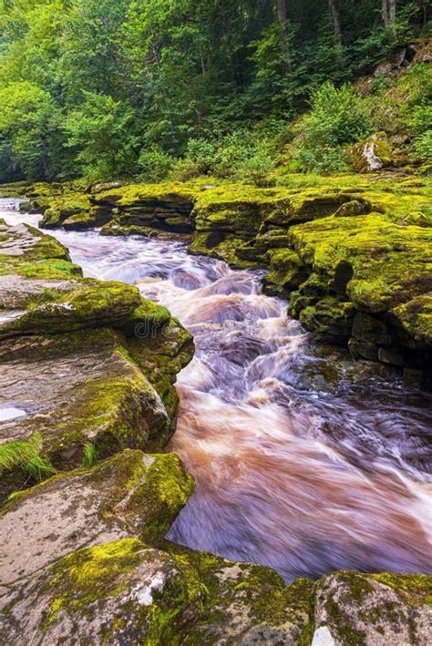 The Strid Ion The River Wharfe Near Bolton Abbey In North Yorkshire