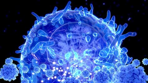 Coronavirus Test For Covid 19 T Cells Immunity Developed Bbc News